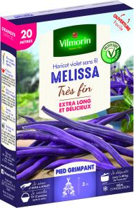 Haricot Grimpant Violet Mélissa - 20 m